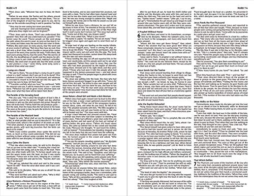 New International Version, Holy Bible, Hope for Every Day