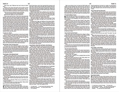 New International Version, Holy Bible, Hope for Every Day
