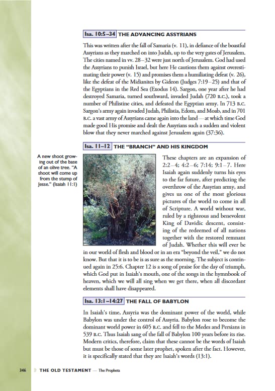 Halley's Bible Handbook, Deluxe Edition: Completely Revised and Expanded Edition---Over 6 Million Copies Sold