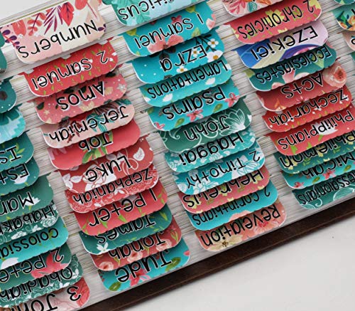 Teal Bible Tabs with Large Print for Women and Girl, 90 Bible Index tabs in Total, 66 tabs for Old and new Testament, Additional 24 Blank tabs (Teal) - color: Teal