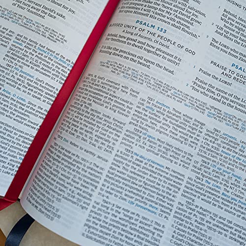NKJV, MacArthur Study Bible, Blue Cloth over Board, Comfort Print: Unleashing God's Truth One Verse at a Time (Holy Bible, New King James Version)