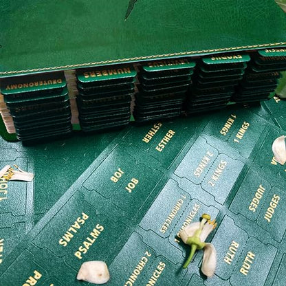 Bible Tabs for Women & Men Green – 80 Gold Foil (66+14 Blank) - color: Green
