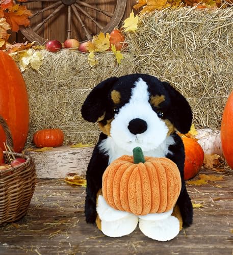 DolliBu Super Soft Bernese Mountain Dog Stuffed Animal with Pumpkin Decor - Pumpkin Plush Animal for Fall, Halloween and Thanksgiving, Pumpkin Toy for Baby, Kids, Adults - 8 Inches