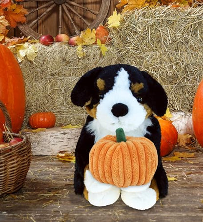 DolliBu Super Soft Bernese Mountain Dog Stuffed Animal with Pumpkin Decor - Pumpkin Plush Animal for Fall, Halloween and Thanksgiving, Pumpkin Toy for Baby, Kids, Adults - 8 Inches