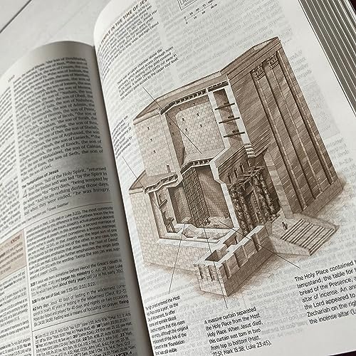 JOY CREATIVE Hand Lettered and Laser Engraved ESV Bible, Student Study Bible with Gray Cover, Personalized Gift, Custom Name Engraving Available