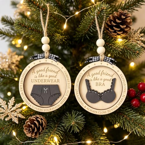 Funny Best Friend Christmas Ornament with Bra & Underwear Pun Design - color: Multi Color