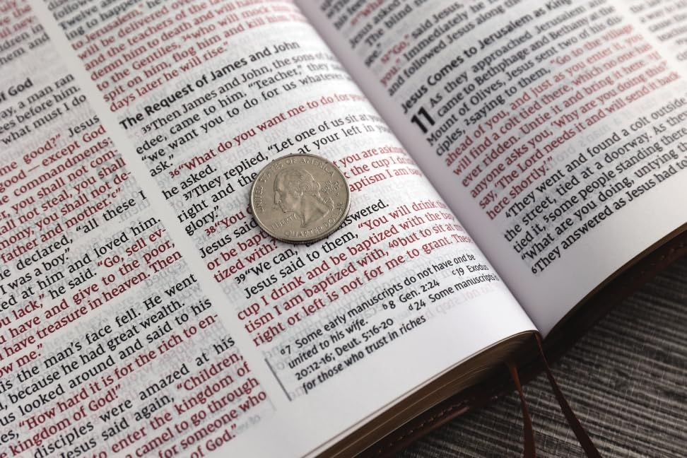 NIV, Thinline Bible, Large Print, Leathersoft, Brown, Red Letter, Comfort Print