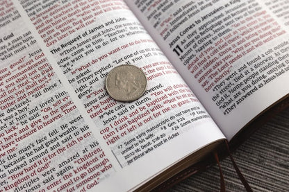 NIV, Thinline Bible, Large Print, Leathersoft, Brown, Red Letter, Comfort Print