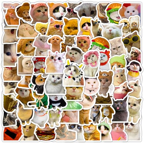 DothRayan Cat Stickers, 100 Pcs Fun Cat Waterproof Stickers, Vinyl Stickers for Water Bottle, Laptop, Phone Stickers for Kids Teens Girls Adults - color: Cat B