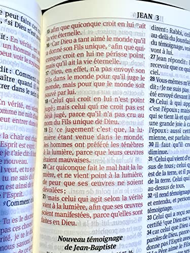 French Bible, Large Print, Leather, Zipper, Thumb Index. Segond 1910, fermeture éclair