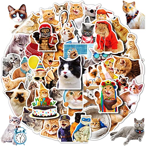 Cat Stickers for Kids Teens Girls Adults, 100 Pcs Cute Cat Stickers, Vinyl Waterproof Animal Sticker for Water Bottle, Laptop, Luggage, Phone, Skateboard - color: Cat