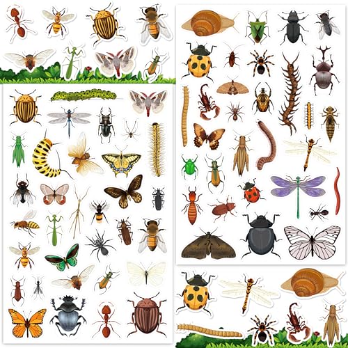 LINAYE 24 Sheets Insect Stickers for Kids Boys Girls, 780 Counts Bug Stickers for Scrapbooking,Water Bottles,Envelopes,Laptop - style: Insects 24 Sheets