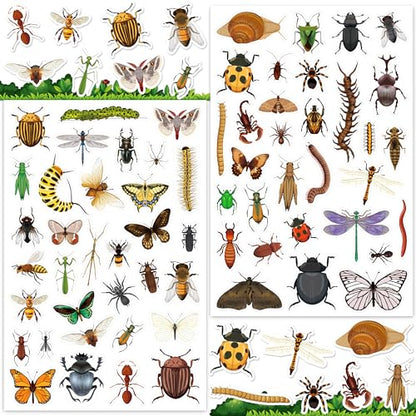 LINAYE 24 Sheets Insect Stickers for Kids Boys Girls, 780 Counts Bug Stickers for Scrapbooking,Water Bottles,Envelopes,Laptop - style: Insects 24 Sheets