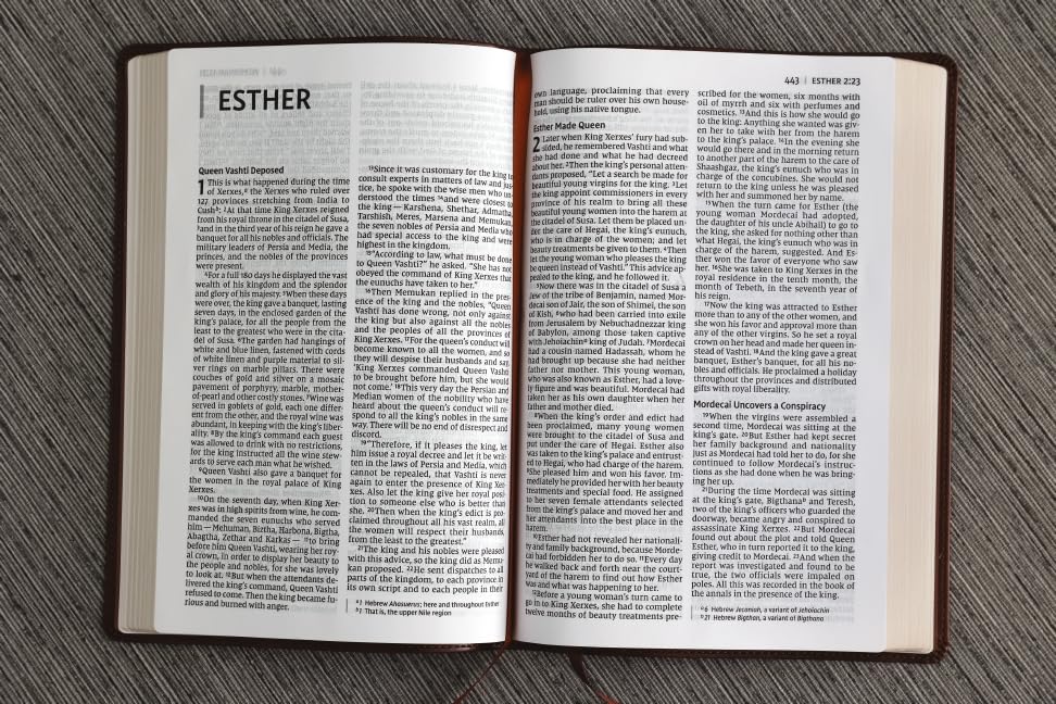 NIV, Thinline Bible, Large Print, Leathersoft, Brown, Red Letter, Comfort Print
